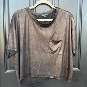 Metallic Sheer Women's Top